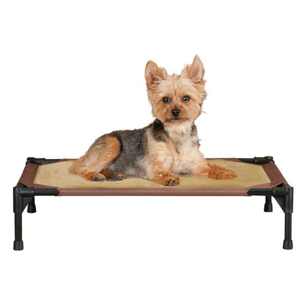 Cot Dog Beds You'll Love in 2019 Wayfair.ca